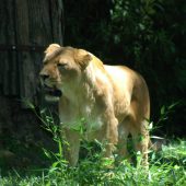  National Zoo